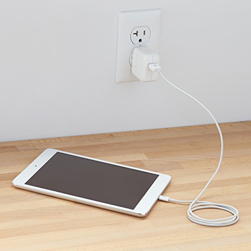 AmazonBasicsUSB充电电缆 约90厘米的小型头